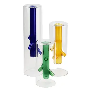 定制独特的彩色手工吹制圆筒双壁玻璃芽花瓶，内部有树枝形状