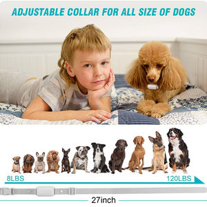 Fern gesteuertes Hunde trainings halsband Wasserdichtes elektronisches wiederauf lad bares Halsband 4 Trainings modi Kunststoff material für alle Rassen - Product Image 5