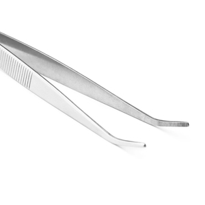 Pinzas de acero inoxidable 304 para jardinería, herramienta de paja en maceta, holgada, rastrillo, herramienta de jardinería de doble uso, pinzas carnosas, 430 - Product Image 4