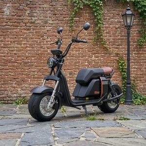Venta al por mayor de fábrica: Scooter vintage de dos ruedas con batería de litio de 1000W y 20Ah, de aluminio, para desplazamientos en Brasil, modelo SS701, con motor potente de 1000W. - Product Image 1