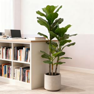 Arbre ficus lyrata artificiel <span class=keywords><strong>en</strong></span> pot, plante artificielle écologique <span class=keywords><strong>en</strong></span> PEVA, décoration intérieure et extérieure, <span class=keywords><strong>jardin</strong></span>, résistant aux UV, fête - Product Image 1