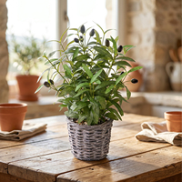Composition de table en olives artificielles en gros avec panier en rotin et mini-plante en pot pour décoration intérieure