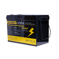 Batterie de stockage d'énergie LiFePO4 12V 24V 100Ah 200Ah 300Ah 6000+ cycles avec BMS pour applications solaires, VR, marines et de secours domestique