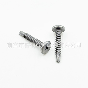 Vis autotaraudeuse à tête ronde galvanisée Shuangxuan Phillips Dovetail 4.6*29 pour tôles et plaques d'acier - Product Image 4