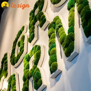 Customized Moss Letter Personalised 3D Moss Logo Sign For Indoor Wall Decoration