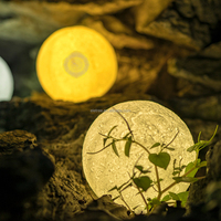 Cadeaux Eid Mubarak Hajj, lampe lunaire 3D, télécommande par application, haut-parleur Coran avec lumière de nuit LED, Sq168