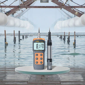 Ekonomik el DO metre | Yüksek doğruluk 3% FS dayanıklı tasarım taşınabilir çözünmüş oksijen ölçer 0-30mg/L aralığı RS-485/Modbus - Product Image 1