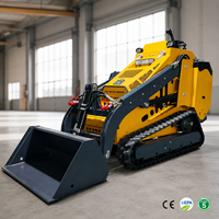 Mini-chargeuse sur chenilles compacte hydraulique EPA Euro 5 pour la ferme, livraison gratuite