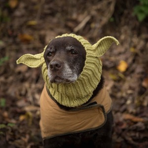 Gorro <span class=keywords><strong>de</strong></span> Diseño para Perro, Cálido <span class=keywords><strong>de</strong></span> Invierno, Acrílico, Disfraz Festivo para Perros Pequeños, Accesorios Modernos para Mascotas, Nueva Tendencia 2026, <span class=keywords><strong>Gorra</strong></span> <span class=keywords><strong>de</strong></span> Halloween para Cachorros - Product Image 5