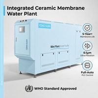 Système de traitement d'eau complet Yongguan YG-TB/C Mini purificateur d'eau pour plantes 50L-350L/H avec filtration par sédimentation