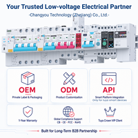 Dispositivo de Corriente Residual (RCD) Tipo A de 2P 6kA, Interruptor Diferencial RCCB de 30mA 100mA 300mA para Electrodomésticos con Inversor, Precio de Fábrica Chayo