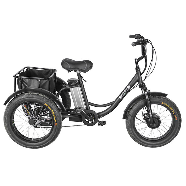 20inch Fat Wheel Electric Cargo Bike Mid - Drive Electric Tricycle with Lithium Battery Electric Tricycle EU Warehouse