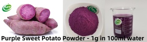 Diskon besar kualitas tinggi harga grosir Cina alami kualitas makanan murni gratis sampel organik ungu kentang bubuk - Product Image 2