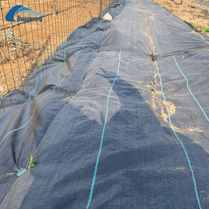 Tessuto per il controllo delle erbacce in vigneto, telo pacciamante permeabile in PP per la prevenzione delle infestanti delle viti - Product Image 2