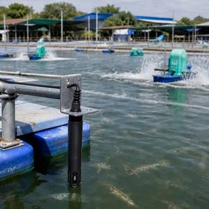 Capteur numérique d'ions nitrites pour la surveillance de la qualité de l'eau en aquaculture, électrode ISE avec sortie RS485 MODBUS - Product Image 3