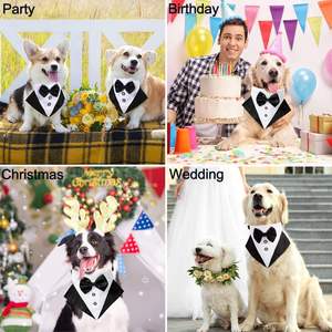 Tanpopo, pajarita ajustable, traje de niño, Collar de perro para mascotas pequeñas, medianas y grandes, boda, fiesta de cumpleaños, esmoquin, Bandana, estampado personalizado - Product Image 5