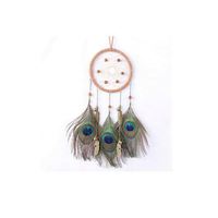 Großhandel handgemachte Boho DIY Kit gewebte Feder Traum fänger für Home Car Room Tür Wand kunst Party Dekor Ornament Geschenk Handwerk