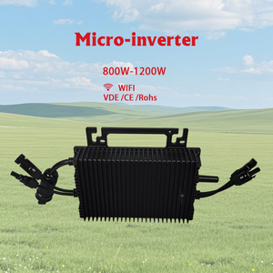 Solución solar microinversor de 1kw para la Independencia Energética del hogar Energía de respaldo fuera de la red compacta y confiable - Product Image 1