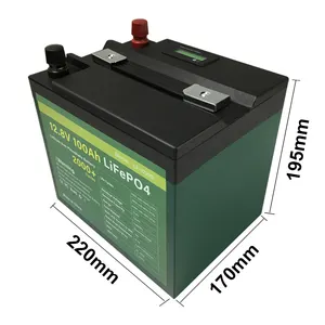 12V 100Ah Lifepo4 Lithium-Ion Batarya Celular Banco Voiture Recargable Bateria De Carro A Externa Para Autos Lithium Ion Battery