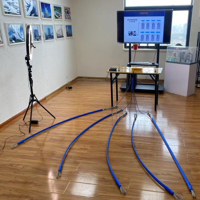 Grain Wheat Maize Storage Silos Temperature Monitoring System Digital Sensors Cables for Sale