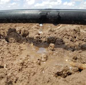 自動16mm PEハードチューブ2ヘクタレ高耐久性ドリップ灌漑システムモダンフルーツツリー用 - Product Image 3