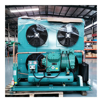 Unité de condensation de réfrigération commerciale de type split avec compresseur à piston semi-hermétique pour chambre froide et congélateur économique