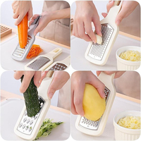RVS handraspset voor kaas, groenten en fruit met comfortabel handvat