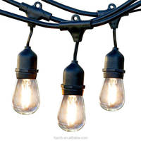 Guirlandes lumineuses étanches IP65 de 5 m avec ampoules LED pour décoration commerciale intérieure/extérieure, prise AC 110V/220V