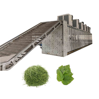 Ligne de production de séchage de fruits de type ceinture de maille de convoyeur continu