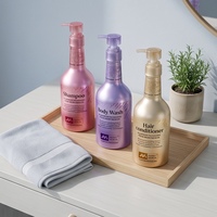 Ensemble de bouteilles vides en aluminium pour lavage et soin, shampoing, après-shampoing, gel douche, 30-500 ml, emballage personnalisé avec logo, boîte cadeau pour salon, hôtel