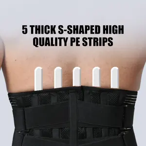 Removable Lumbar Pad Breathable Lower Waist Back Brace For Home Lifting At Work