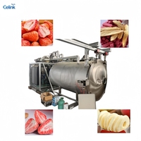 Industriële voedselvriesdroger, vacuümvriesdroger, wasmachine, schiller, snijmachine voor fruit, groenten, snoep, chips, snacks productielijn