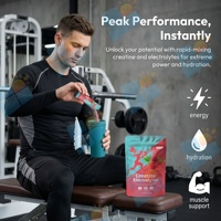 OEM ODM Marque Privée Créatine Monohydrate Électrolyte en Poudre en Sachet – Lot de 30 pour Énergie et Récupération Avant, Pendant et Après l'Entraînement