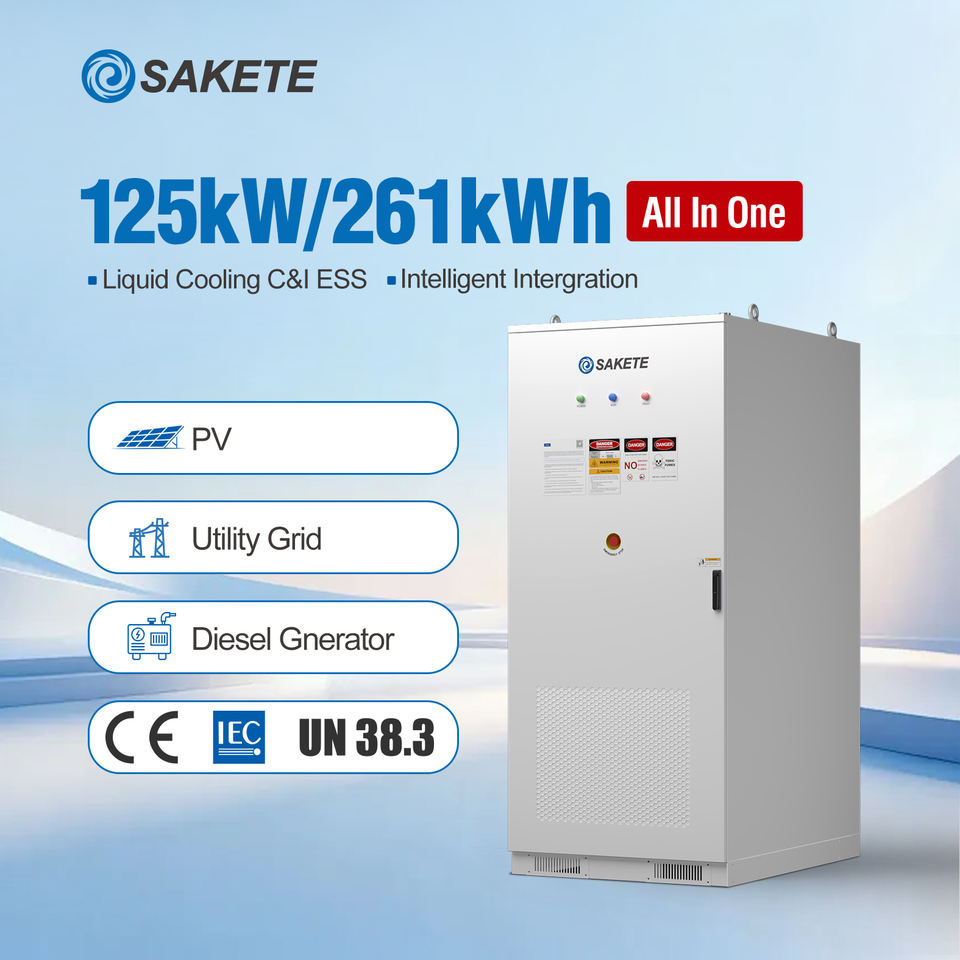 Sakete All in One 261kwh BESS Outdoor Cabinet 100Kw 215kWh Industrial ...