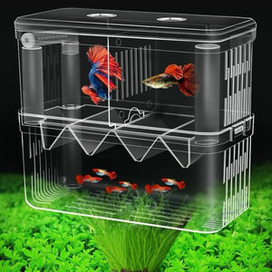 Tanque de peces para acuario, incubadora, caja de cría, divisor de aislamiento de criador <span class=keywords><strong>blanco</strong></span> acrílico, cajas de incubación, accesorio para peces pequeños - Product Image 1