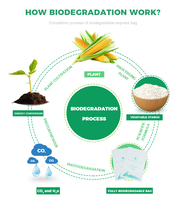 Sacs de conservation compostables pour sandwichs et collations avec logo personnalisé, sacs de conservation refermables pour aliments