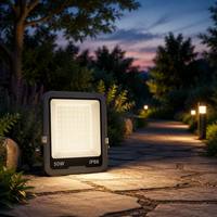 Projecteurs LED Slim Extérieurs 50W SMD 3030 230V à Haut Lumen IP65 avec Réflecteur en Aluminium Moulé sous Pression pour l'Éclairage des Terrains de Tennis et des Bâtiments