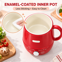 Marmite Électrique Multifonctionnelle Mini Hot Pot, Cuiseur à Soupe et à Riz, avec Cuve Intérieure Émaillée, Fonction Maintien au Chaud, Idéale pour Dortoir