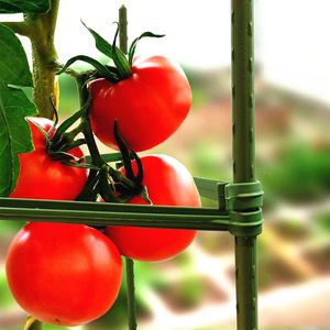 Marco de pepino Reutilizable Caja ecológica a granel Certificado CE para jardín Granja Césped Hogar Plantación agrícola hortícola - Product Image 3