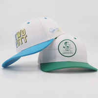 Gorra de Béisbol Deportiva Unisex de 6 Paneles de Algodón con Logotipo Bordado en 3D