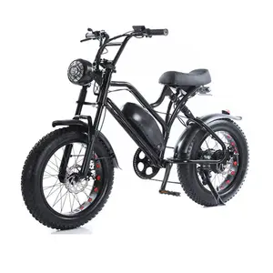 OEM al alloy/steel frame snow electric bike 750W 1000W fat tire e bike/20inch electric bike/electric bicycle