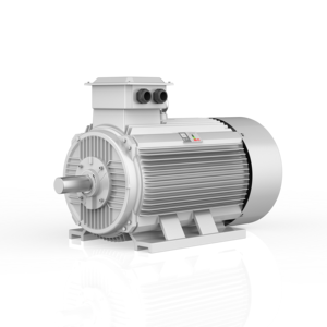 มอเตอร์ไฟฟ้ากระแสสลับแบบอะซิงโครนัส รุ่น IE4 ซีรีส์ YE4-315L1-4 กำลังไฟ 160 กิโลวัตต์ 200 แรงม้า ระดับการป้องกัน IP55/IP56/IP65 ระบบระบายความร้อน IC411 ปรับแต่งได้ ประหยัดพลังงาน - Product Image 1