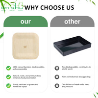 Assiettes jetables écologiques en bambou et feuilles de palmier de 8 pouces 100% biodégradables et compostables pour les fêtes