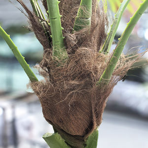 Palmera artificial al aire libre resistente a los rayos UV, palmera elegante de 12 pies, <span class=keywords><strong>palmeras</strong></span> artificiales de 2 metros, perfectas <span class=keywords><strong>para</strong></span> la decoración interior de la sala de estar - Product Image 4