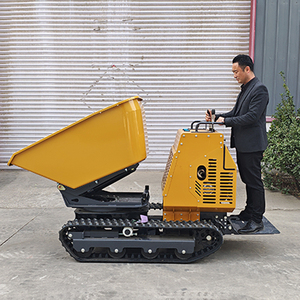 Camion Ribaltabile Cingolato, Prodotto in Cina, Camion Ribaltabile Cingolato Multiuso, Adatto per l'Agricoltura e l'Edilizia. - Product Image 5