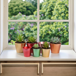 Mini jardinière en métal couleur bonbon Pots décoratifs pour jardin <span class=keywords><strong>Cadeau</strong></span> <span class=keywords><strong>de</strong></span> Noël pour petites plantes succulentes et fleurs - Product Image 4