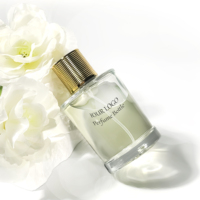 Bouteille de parfum de pulvérisation de brouillard d'huile essentielle de haute qualité boîte d'emballage de cosmétiques transparents bouteille de parfum vide 100ml