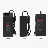 High Performance 48V 5A Li-ion Battery Charger for YOZMA in 10 Electric Motorcycle Power Adapter Durable Fast Charging Device