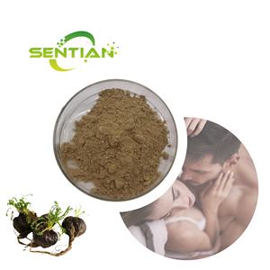 Экстракт корня маки, порошок черного мака, последние таблетки для увеличения ягодиц маки, производители - Product Image 1