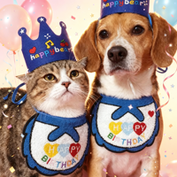 Offre Spéciale : Chapeau et Bavoir d'Anniversaire pour Animaux de Compagnie – Collier Écharpe en Peluche Mignon, Nœud Papillon Joyeux Anniversaire, Accessoires de Célébration pour Chats et Chiens